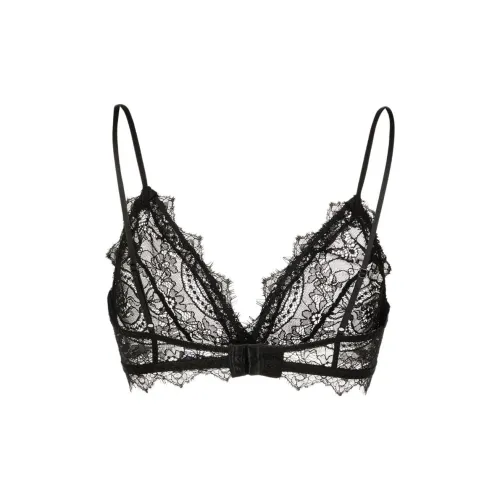 MISS CURIOSITY Women's Bras