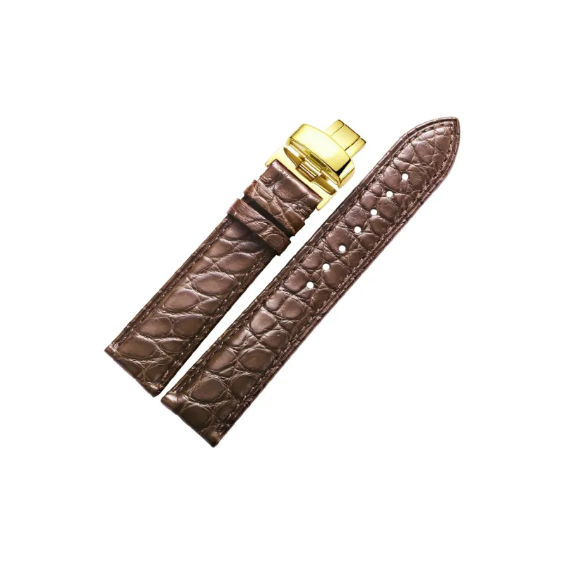 SHIRUI Starfish Elegant Watch Bands 20mm Unisex-18