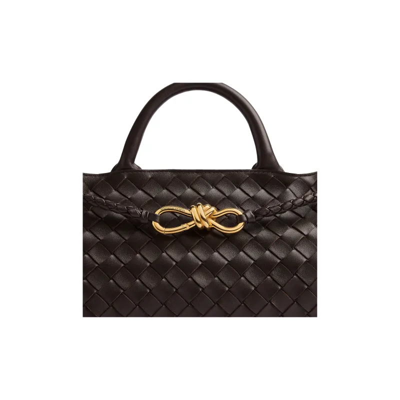 Bottega Veneta Small East/West Andiamo Fondant-4