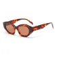 DS8002-T-Tortoiseshell