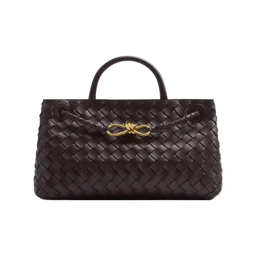 Bottega Veneta Small East/West Andiamo Fondant