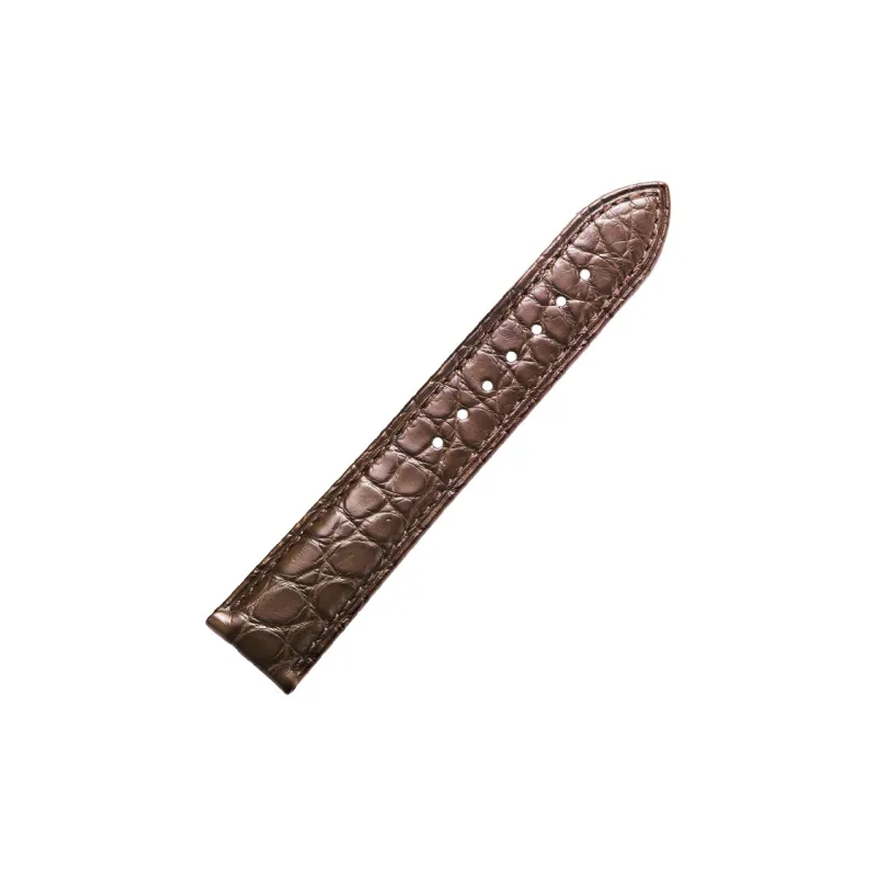 SHIRUI Starfish Elegant Watch Bands 20mm Unisex-19