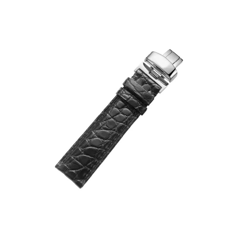 SHIRUI Starfish Elegant Watch Bands 20mm Unisex-2