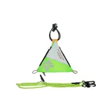 Neon Green