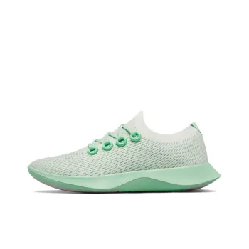 Allbirds Tree Dasher Casual Shoes Men Low-Top Whirlwind Green