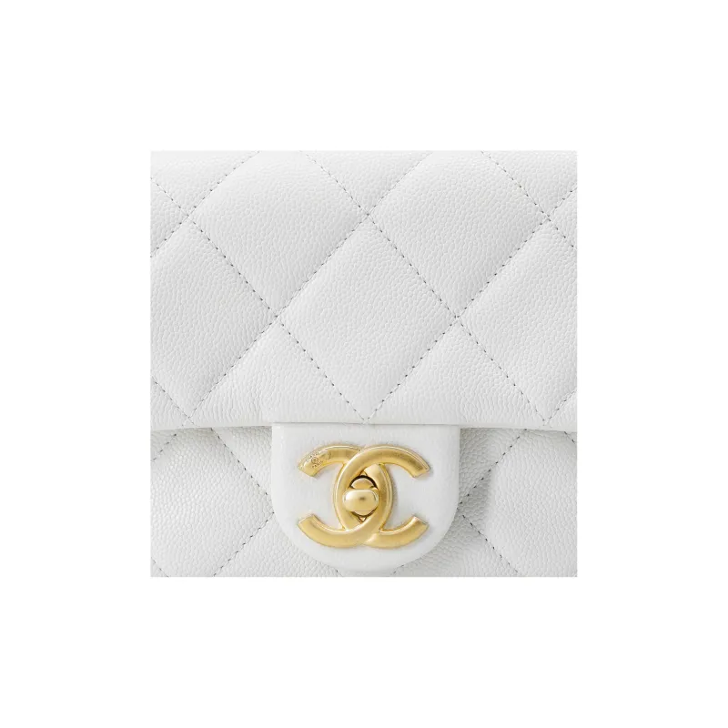 CHANEL Gold Coin Collection Shoulder Bags-4