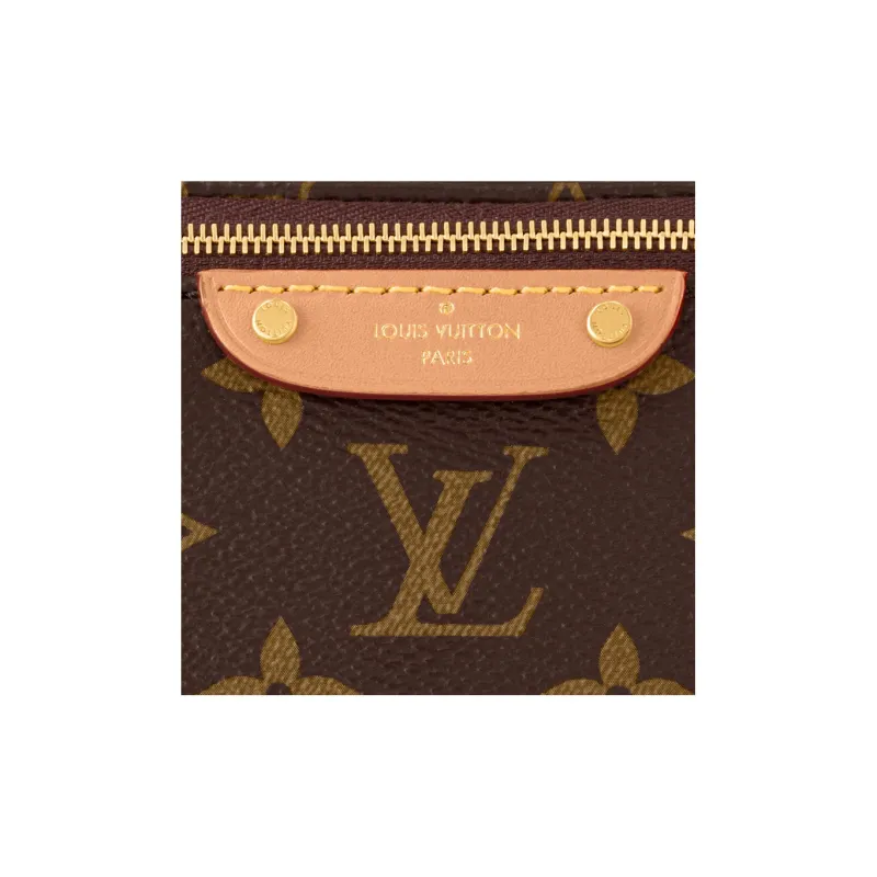 LOUIS VUITTON Mini Bumbag-6