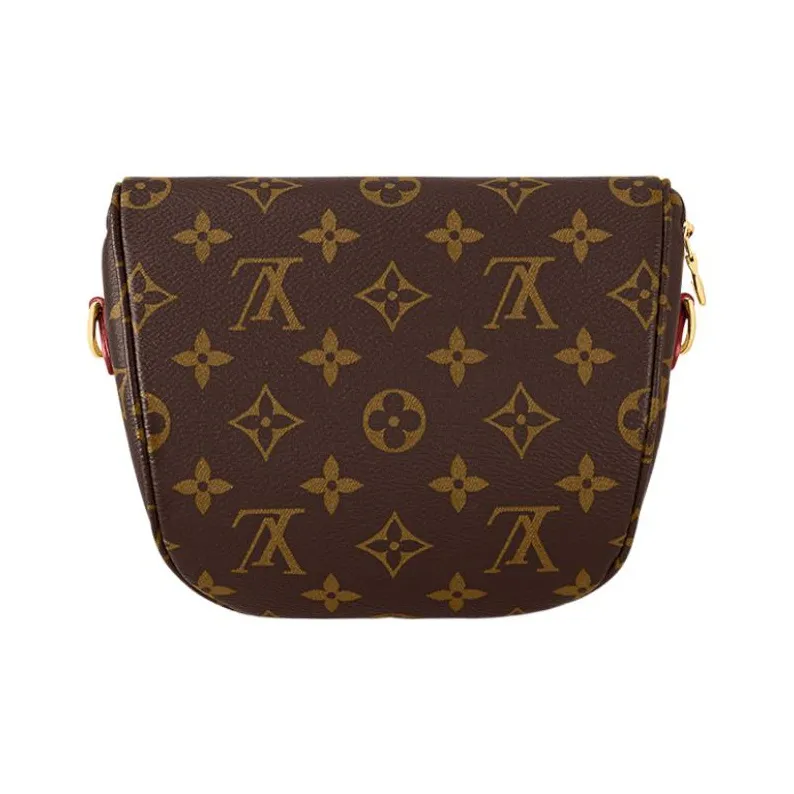LOUIS VUITTON Mini Bumbag-3