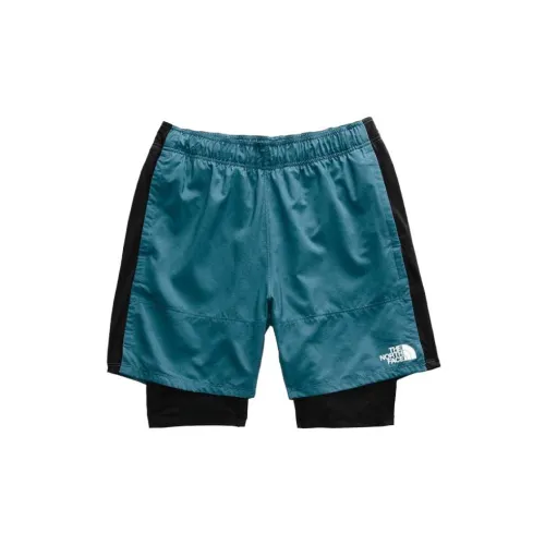 THE NORTH FACE Casual Shorts Men Blue