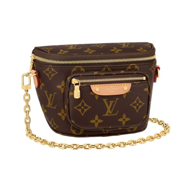 LOUIS VUITTON Mini Bumbag-1