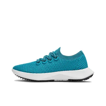 Allbirds Tree Dasher 2 Anti-Slip Wear-Resistant Low-Top Running Shoes Women's Water Duck Blue