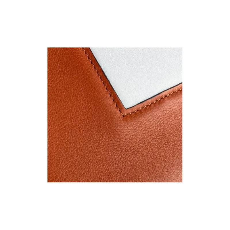 CELINE Frame Smooth Calf Leather Shoulder Bag Crossbody Bag Medium Size Women's Brown/Light Blue-10