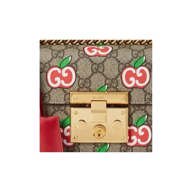 GUCCI Canvas With Leather Box Bag Crossbody Bag Shoulder Bag Women's Ebony & Red-5