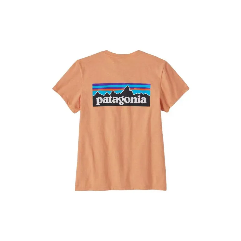 Patagonia P 6 T shirt-21