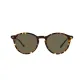 Tortoiseshell