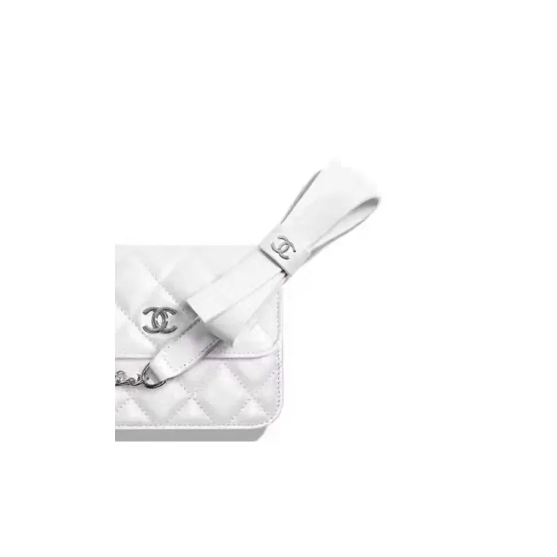 CHANEL Silver Tone Buckle Shoulder Bag, Crossbody Bag, Coin Purse Women's White-1