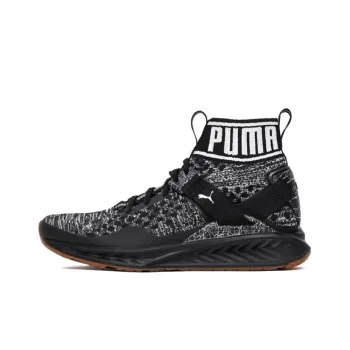 PUMA Ignite EvoKnit Hypernature 'Black Gum'