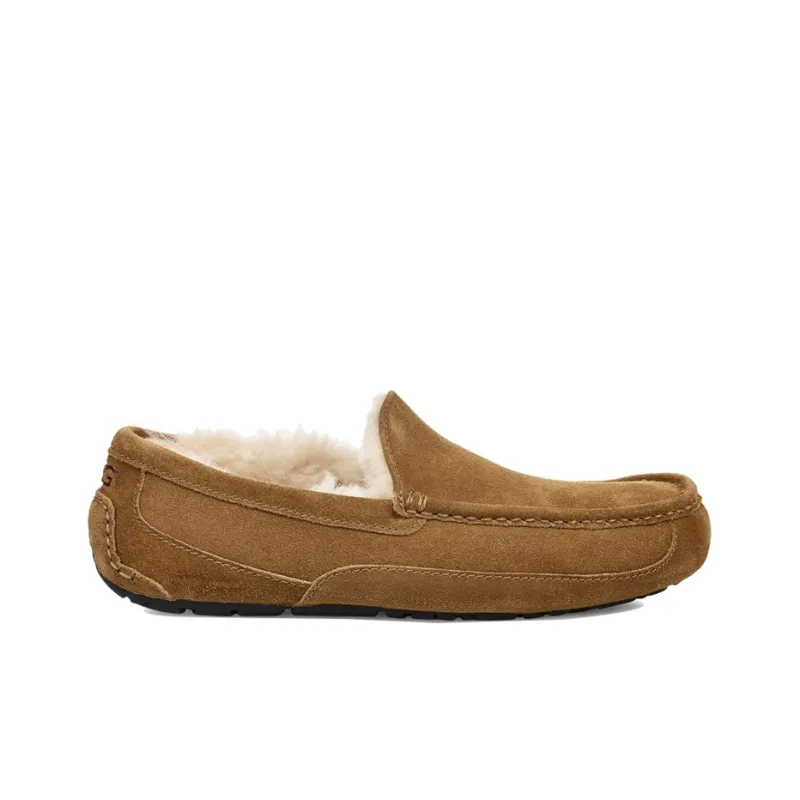 UGG Ascot Slipper Chestnut-1