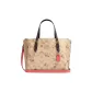 Bag+Dust Bag