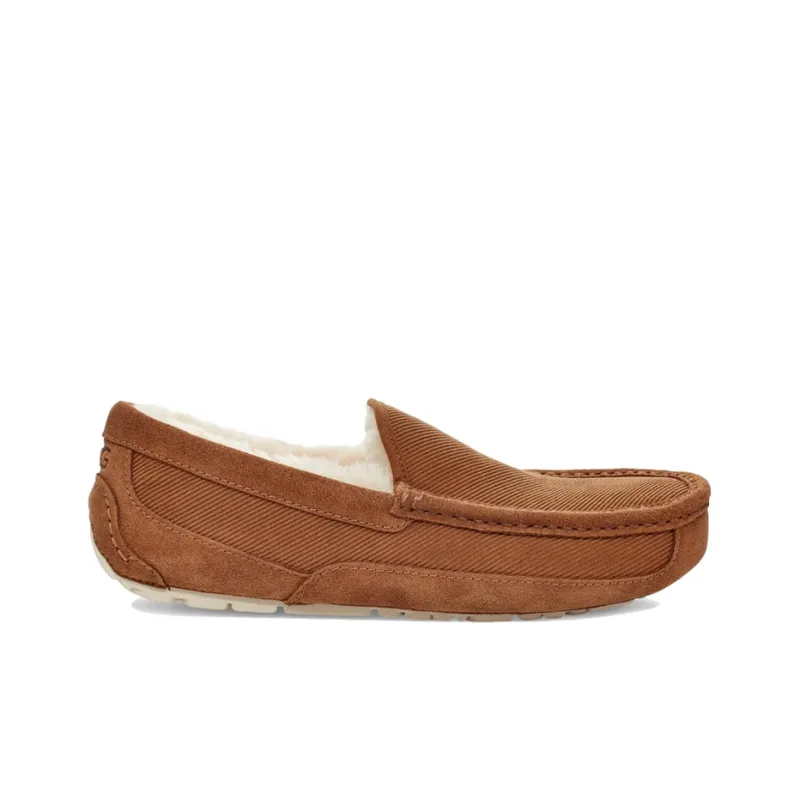 UGG Ascot Casual Shoes Men Low-Top Chestnut-1