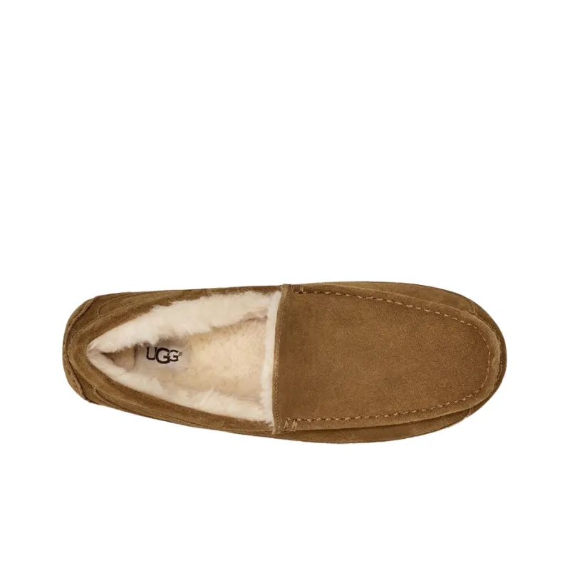 UGG Ascot Slipper Chestnut-4