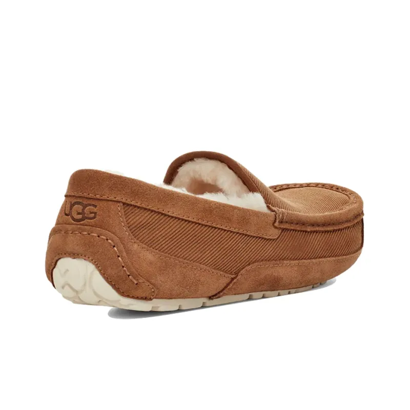 UGG Ascot Casual Shoes Men Low-Top Chestnut-3