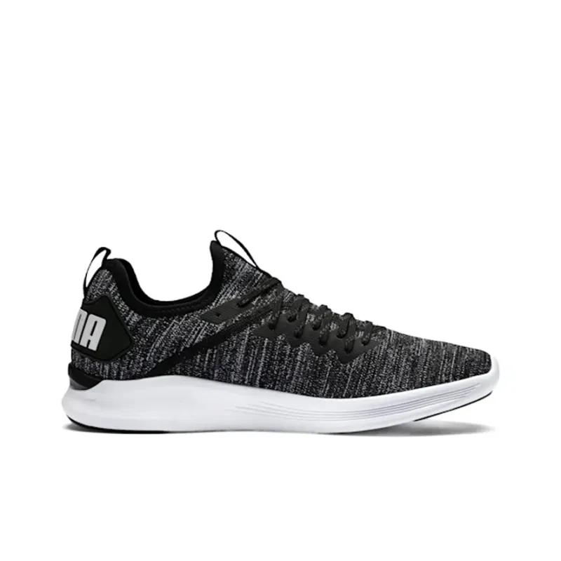 PUMA Ignite Flash EvoKnit 'Black Asphalt'-1
