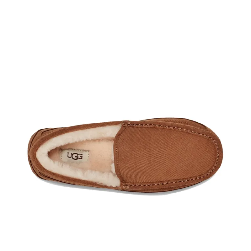 UGG Ascot Casual Shoes Men Low-Top Chestnut-4