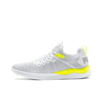 PUMA Ignite Flash Evoknit 'Gray White'