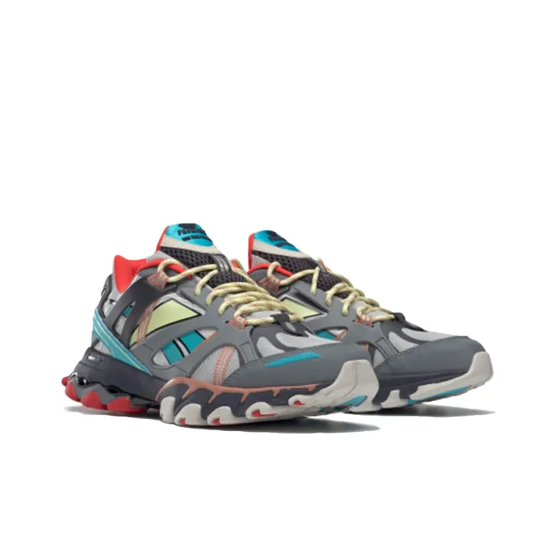 Dmx Trail Shadow Reebok 'Cold Grey Rustic Clay'-2