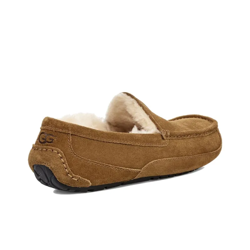 UGG Ascot Slipper Chestnut-3