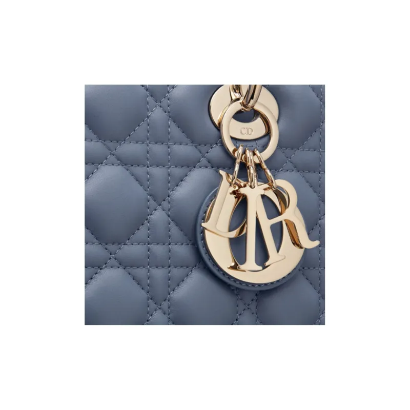 DIOR Lady DIOR Clutches-3