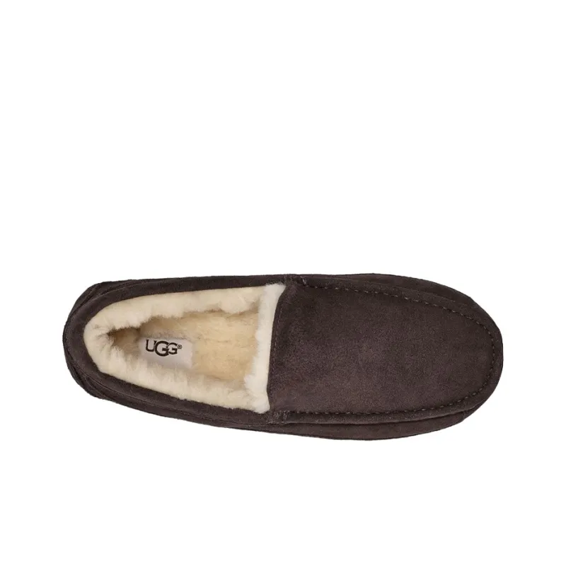 UGG Ascot Slipper Espresso-4