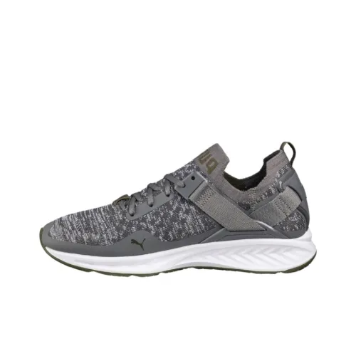 PUMA Ignite Casual Shoes Men Low-Top Dark Gray