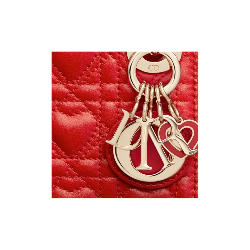 DIOR Lady DIOR Handbags-4