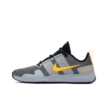 Nike Varsity Compete Tr 2 'Atmosphere Grey'