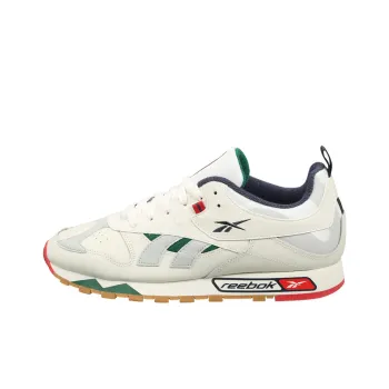 Reebok Classic Leather Rc 1.0 'Chalk Skull Grey'