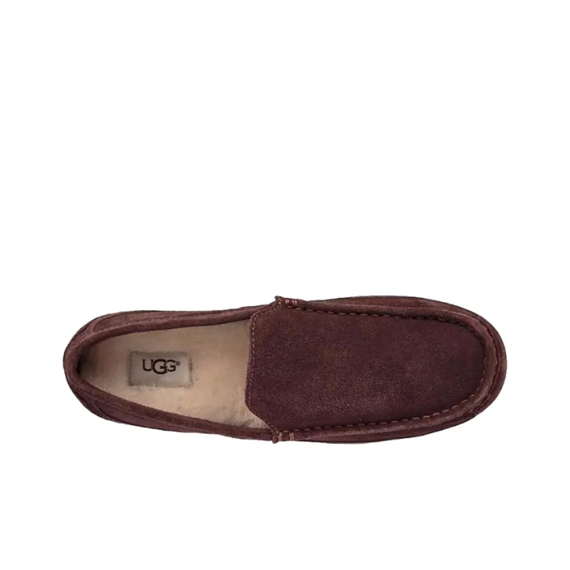 UGG Casual Shoes Men Low-Top Dark Coffee-3