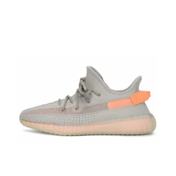 Adidas Originals Yeezy Boost 350 V2 True Form