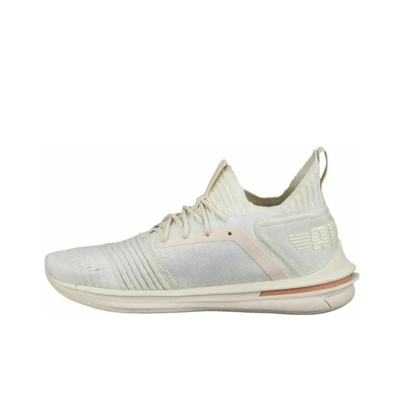 PUMA Ignite Limitless Sr EvoKnit Whisper White-0