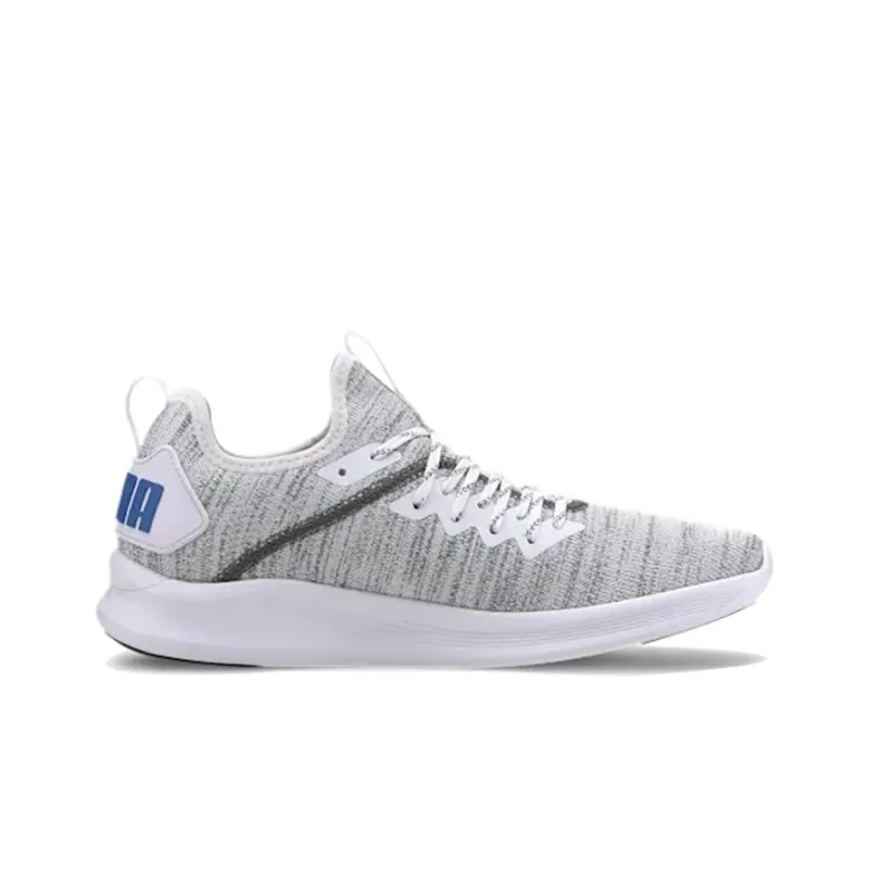 PUMA Ignite Flash EvoKNIT 'White Castlerock'-1