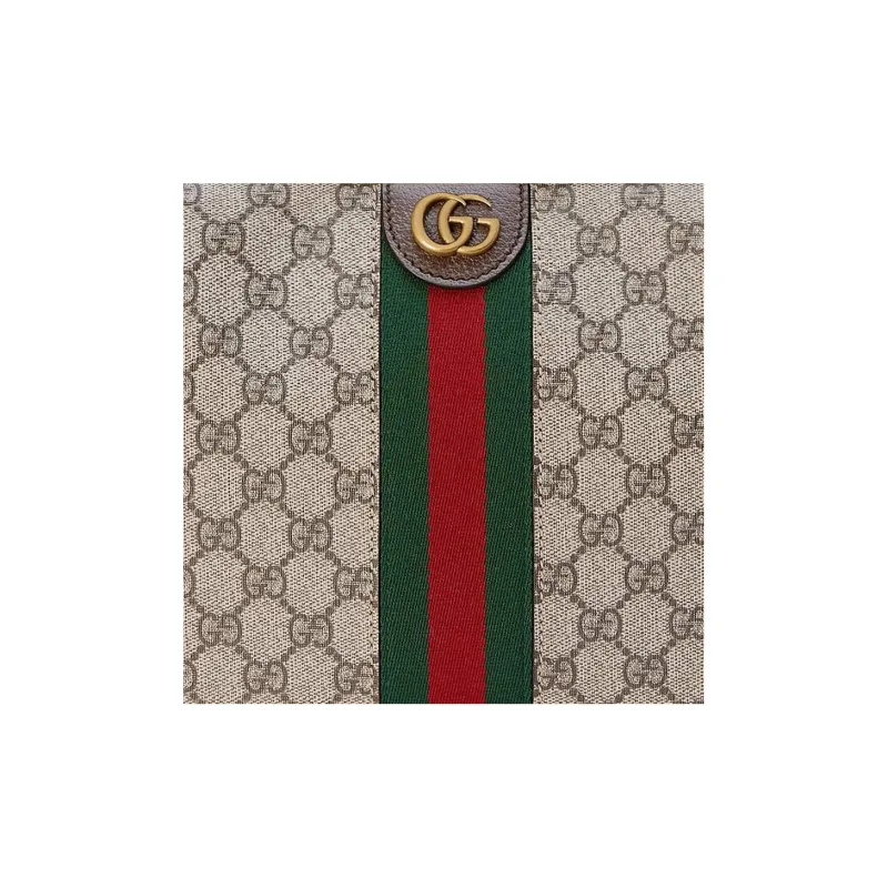 GUCCI Ophidia Travel Storage Bag-7