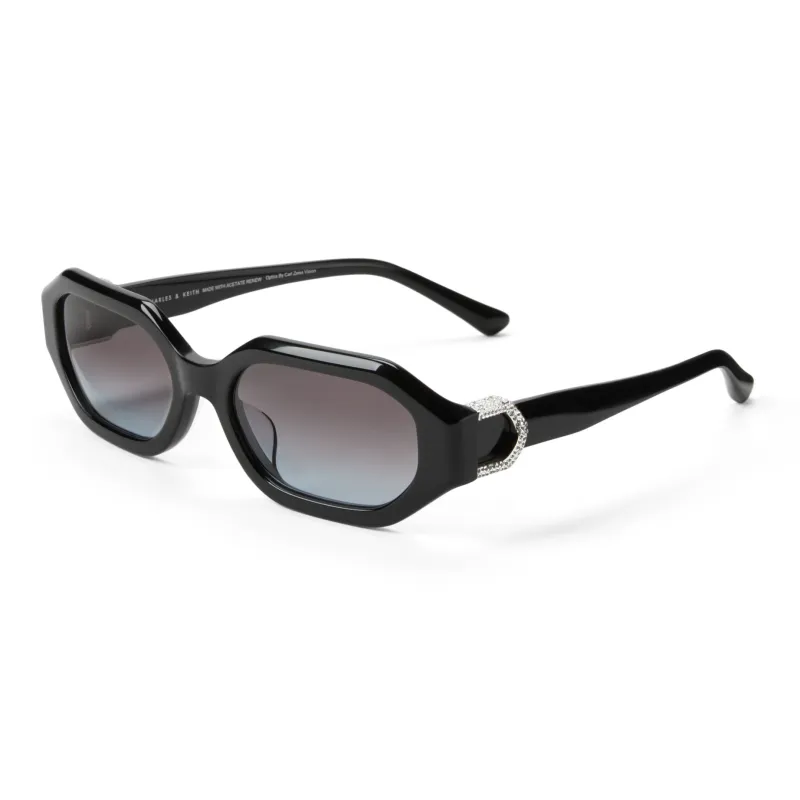 CHARLES&KEITH Aviator Sunglasses Women's Black-1