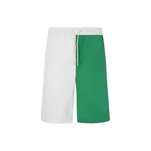 Tommy Hilfiger Casual Shorts Men Green/White Multicolor