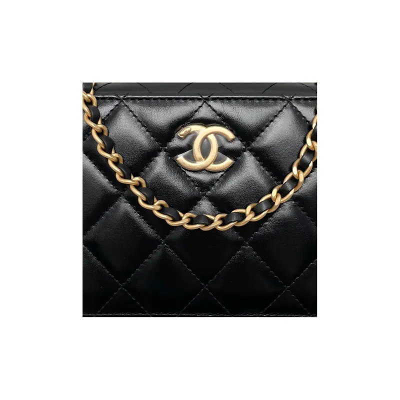 CHANEL Cow Leather Camera Bag, Chain Bag, Handbag, Shoulder Bag, Crossbody Bag Women's Black-3