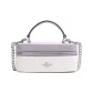 Bag+Dust Bag