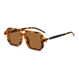 Tortoiseshell Frame with Brown Lens (TY0038-2)