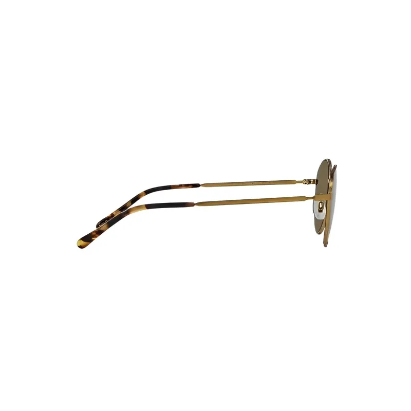 Polo Ralph Lauren Round Frame Sunglasses-2