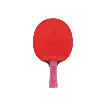 DHS Ping Pong Paddles