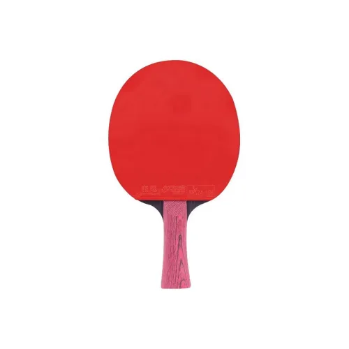 DHS Ping Pong Paddles